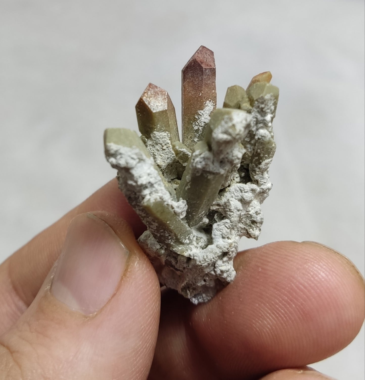 An Aesthetic terminated chlorite Quartz specimen with brookite 11 grams