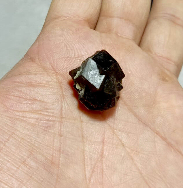 Andradite Garnets Cluster 14 Grams