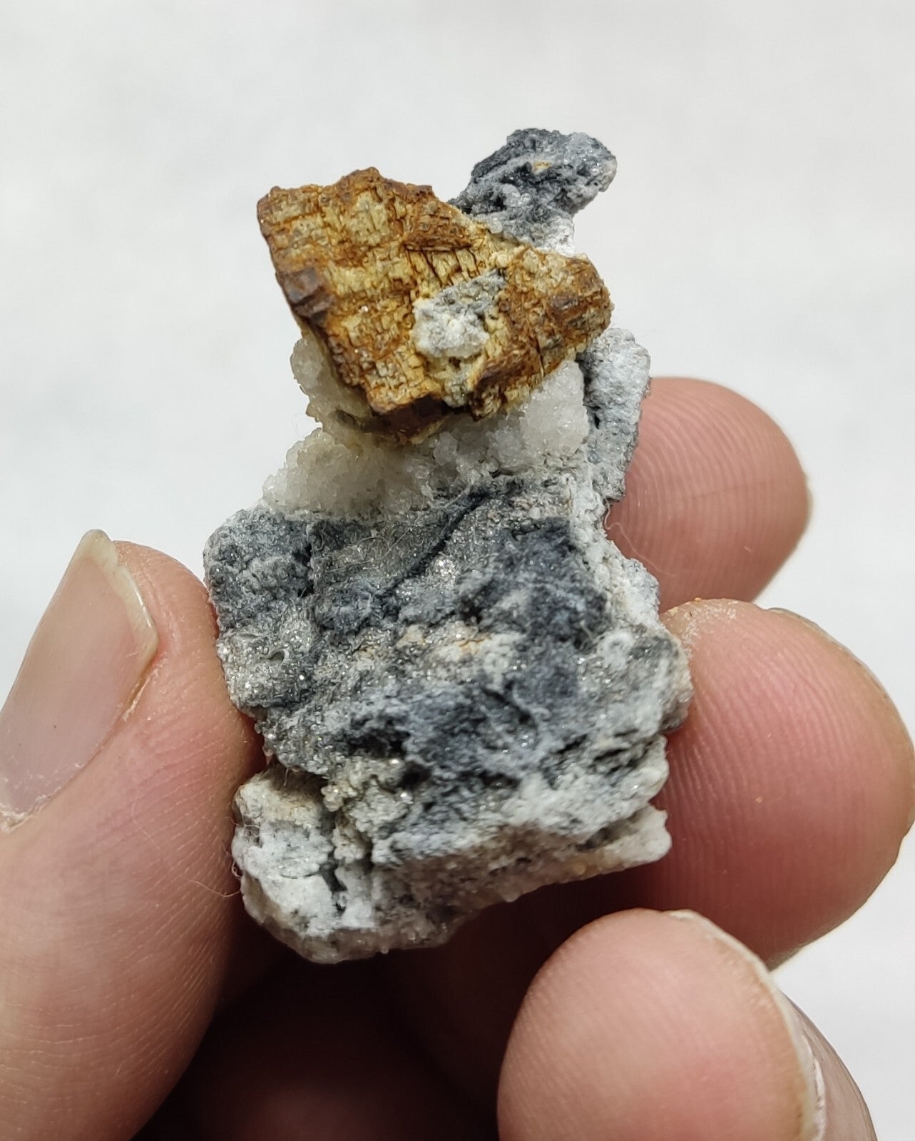 An amazing specimen of siderite on matrix 14 grams