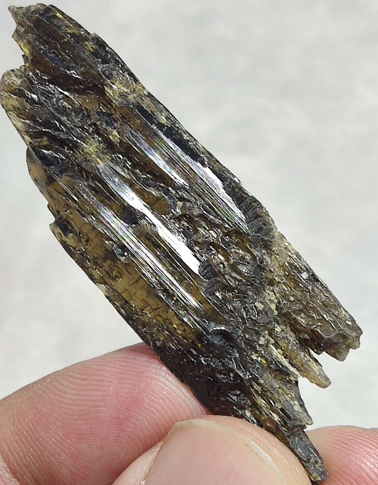 Single etched Epidote Crystal 11 grams