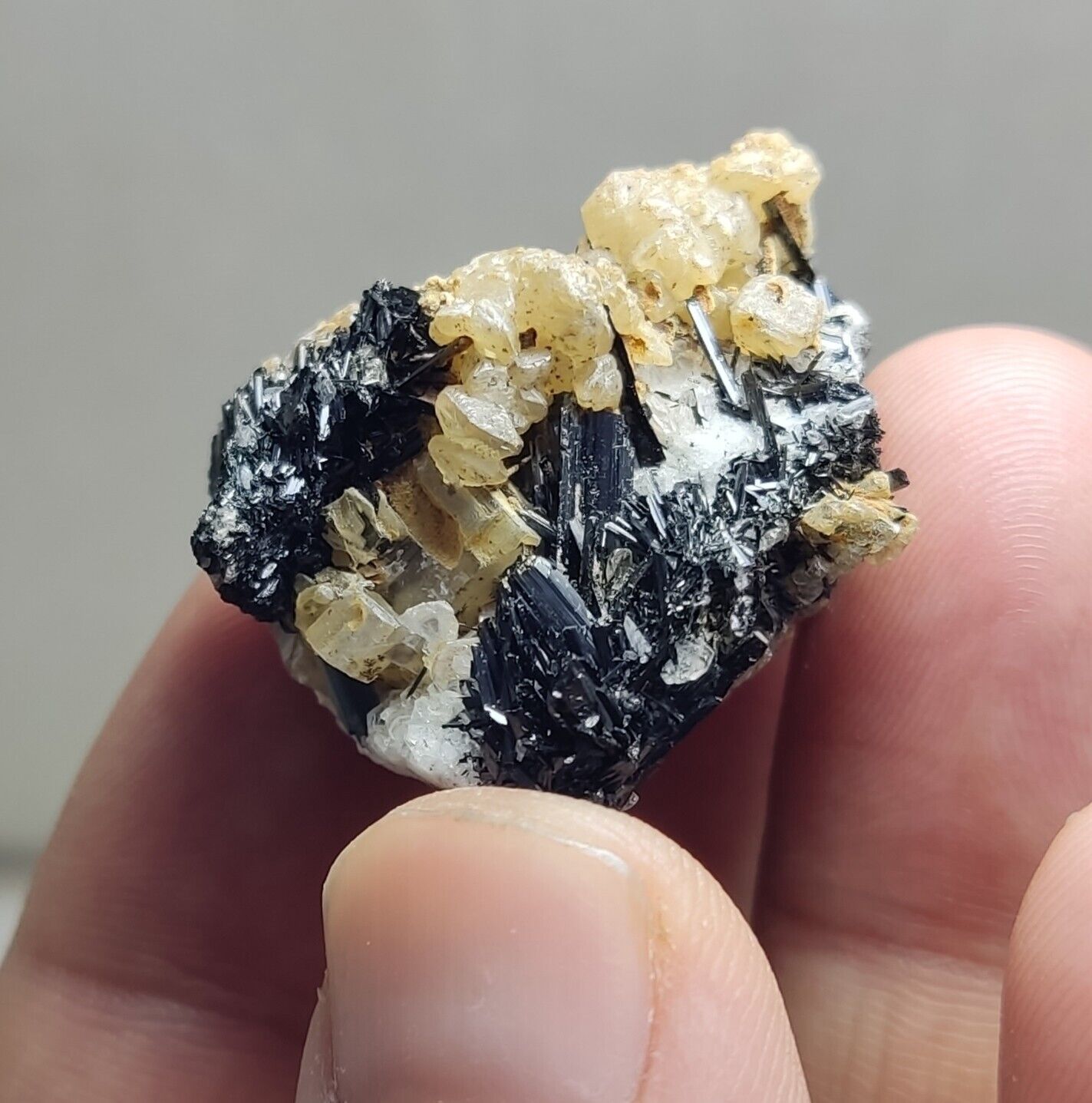 An aesthetic combo specimen of aegirine and calcite 21 grams