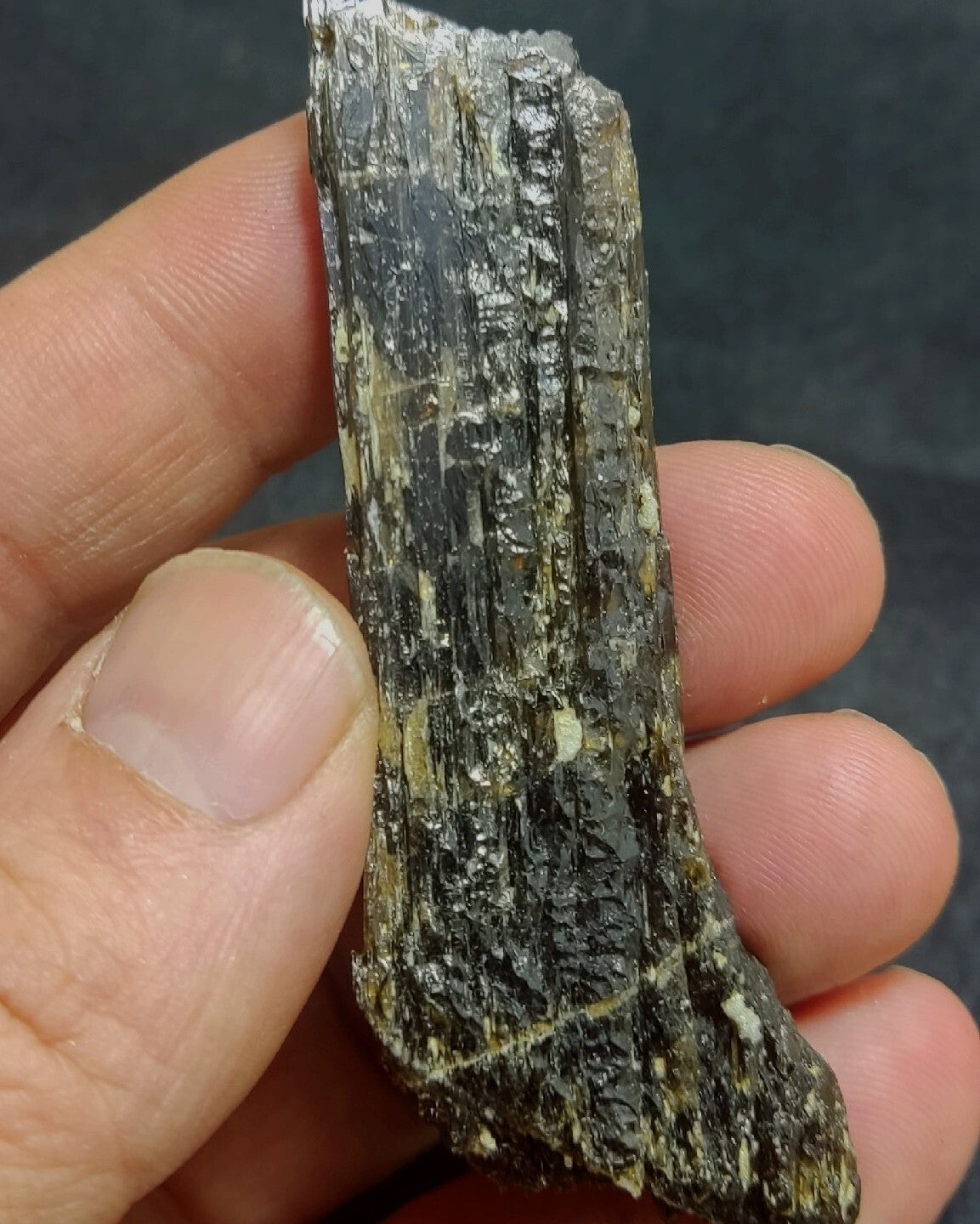 Single etched Epidote Crystal 34 grams