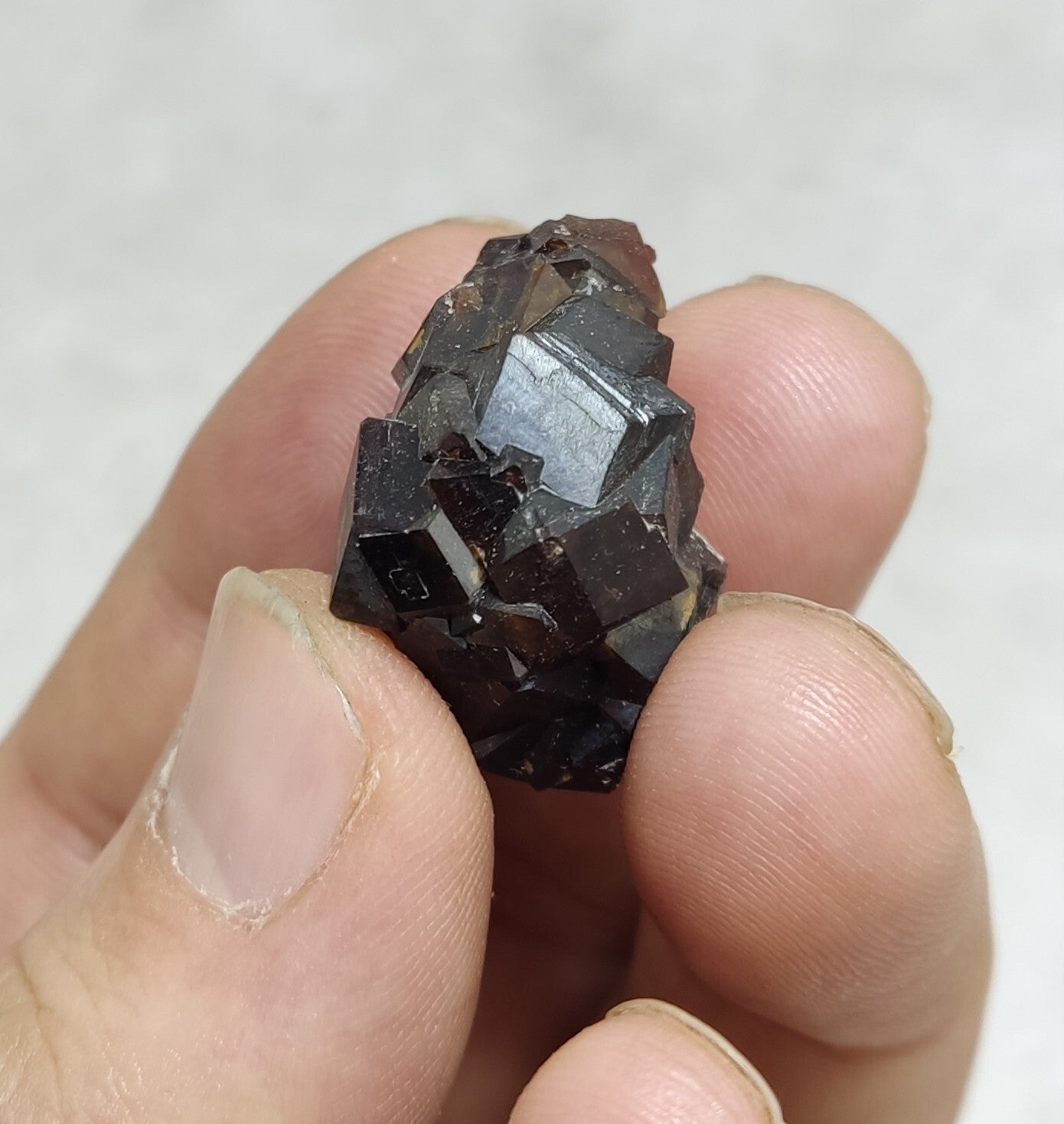 An Aesthetic specimen of andradite garnets on matrix 18 grams
