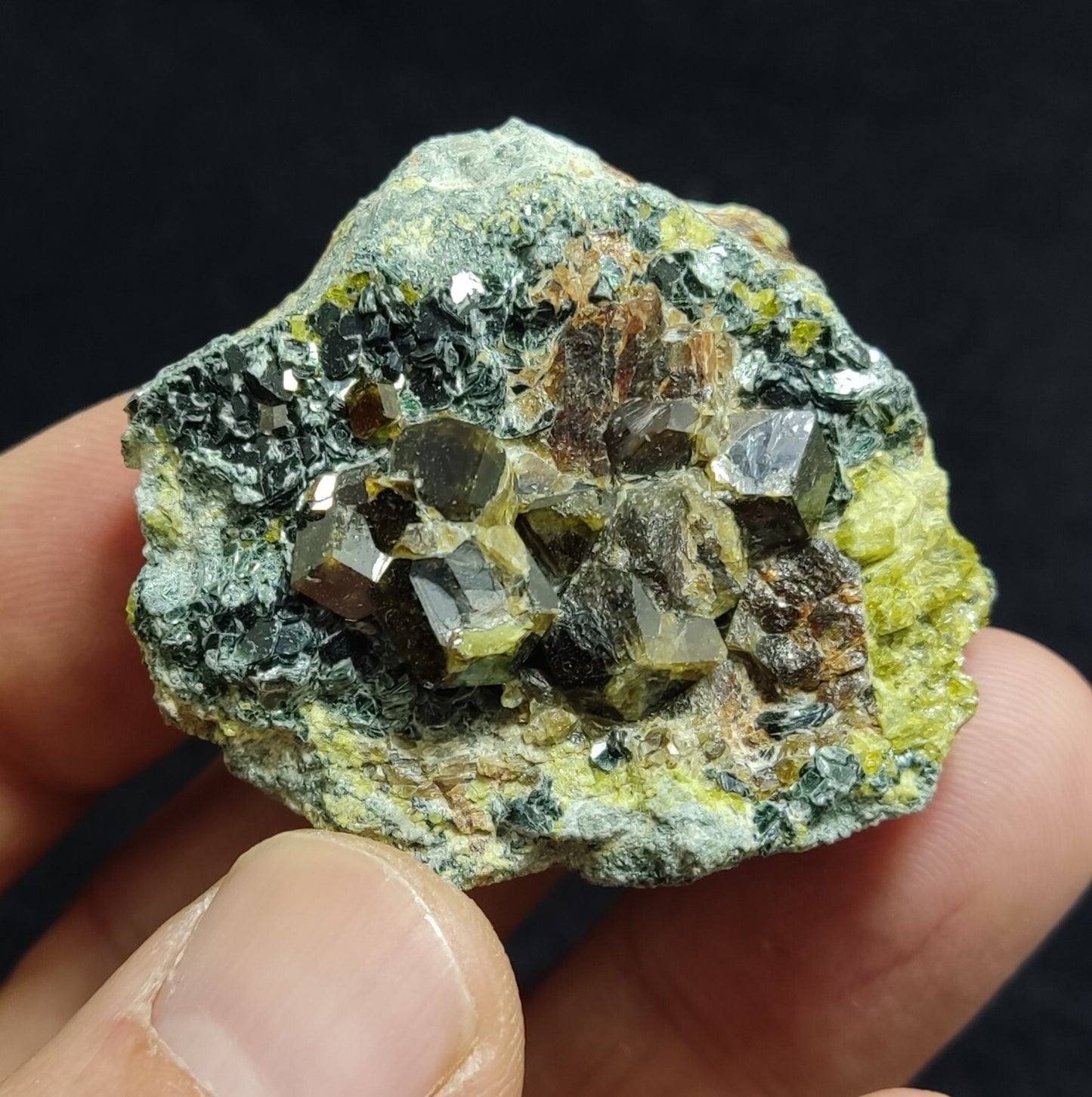 Andradite garnets on matrix with epidote and clinochlore 56 grams