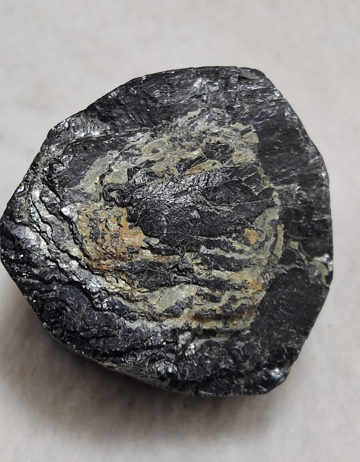 An amazing specimen of terminated black tourmaline 62 grams