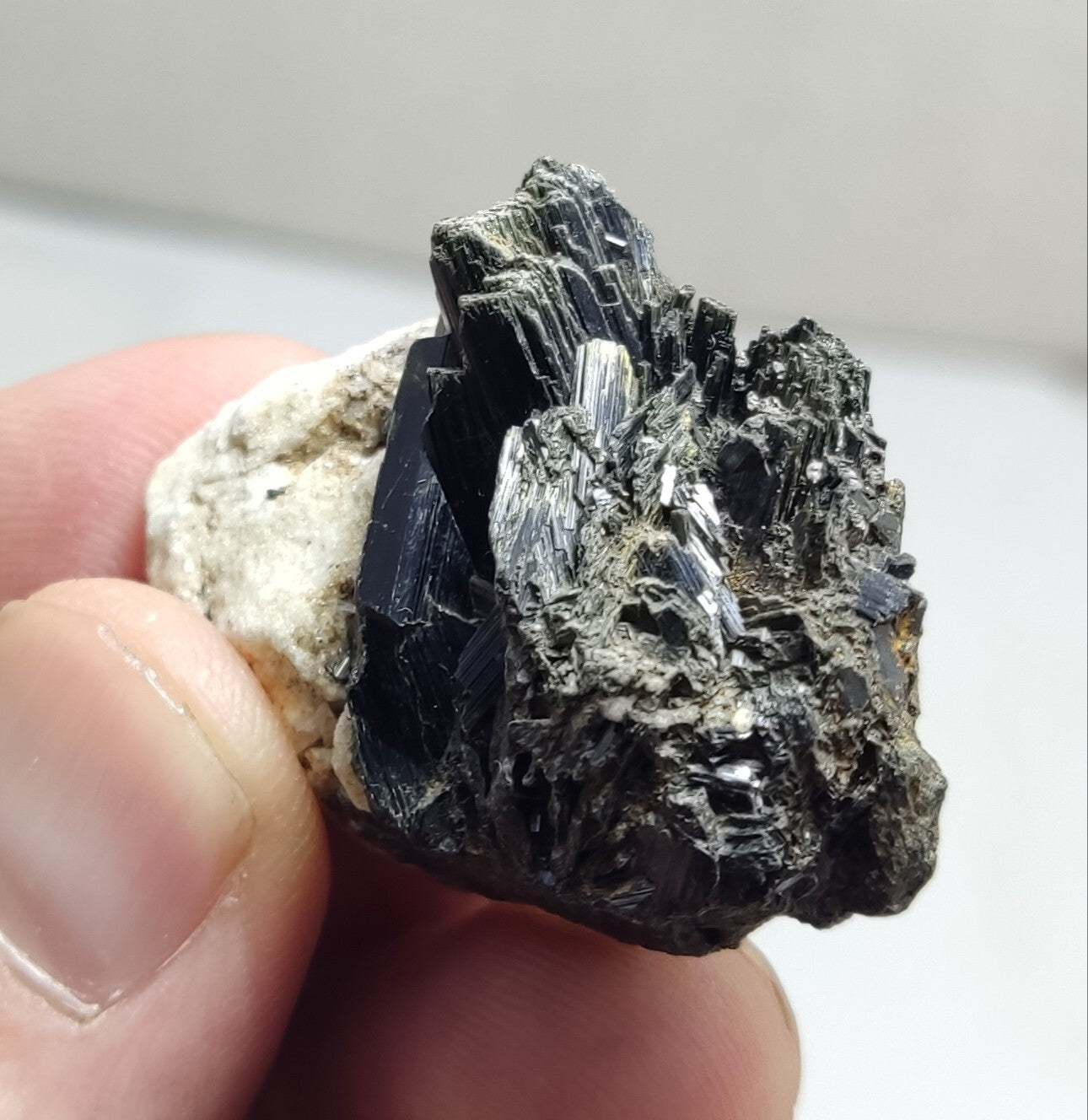 An aesthetic specimen of terminated aegirine crystals on matrix 25 grams