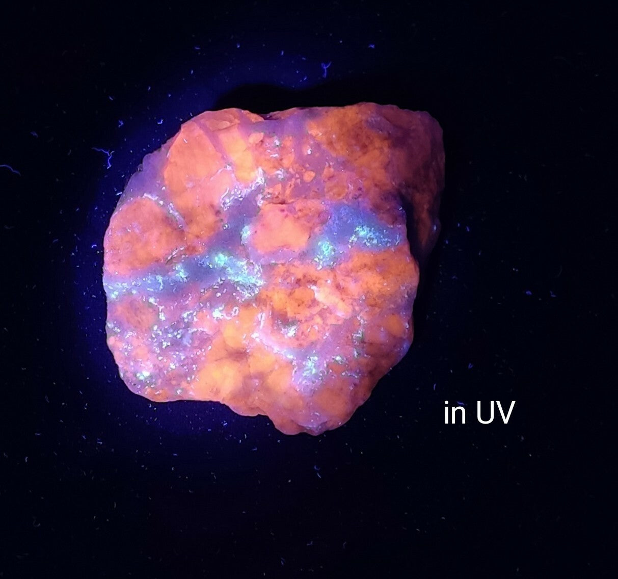 An amazing specimen of hackmanite on matrix highly Tenebrescent 58 grams