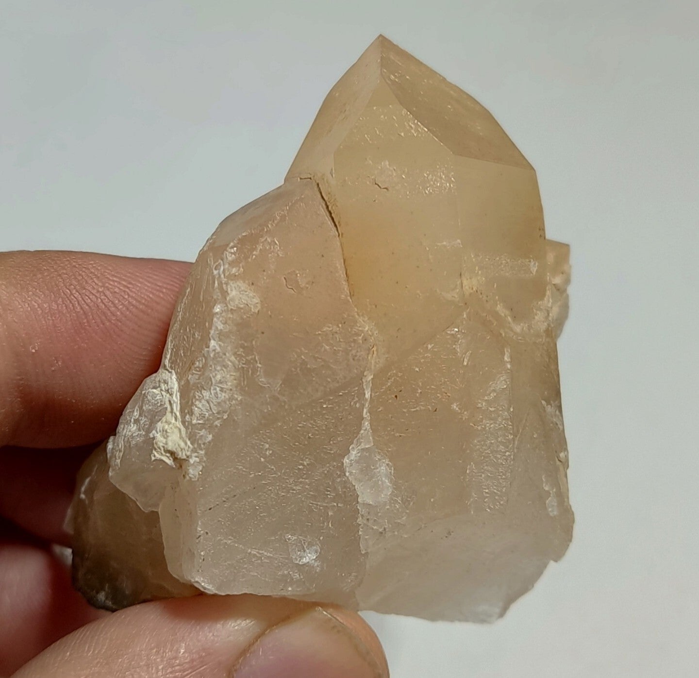 Amphibole included Quartz crystal 88 Grams