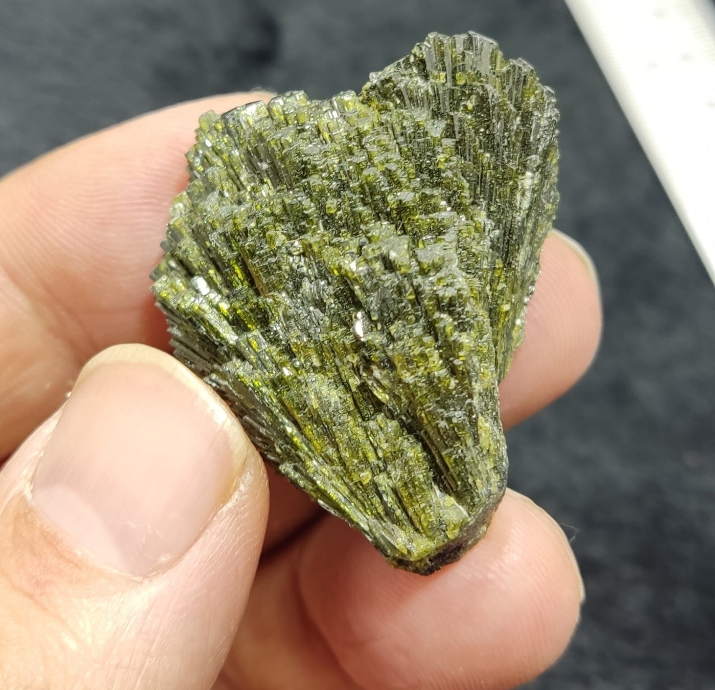 Single natural Epidote Crystal spray formations 22 grams