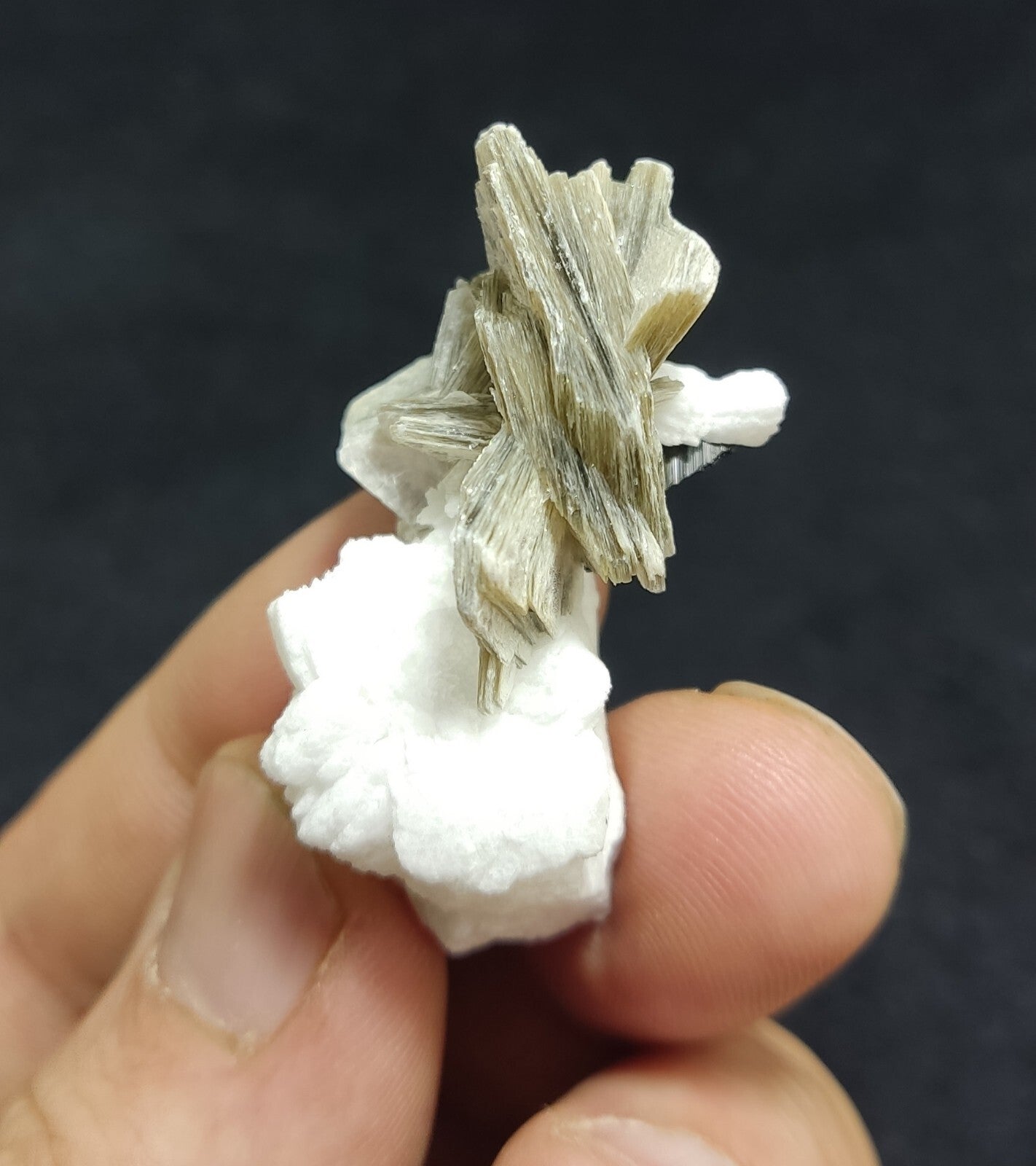 Muscovite specimen with Albite and black tourmaline 16 grams