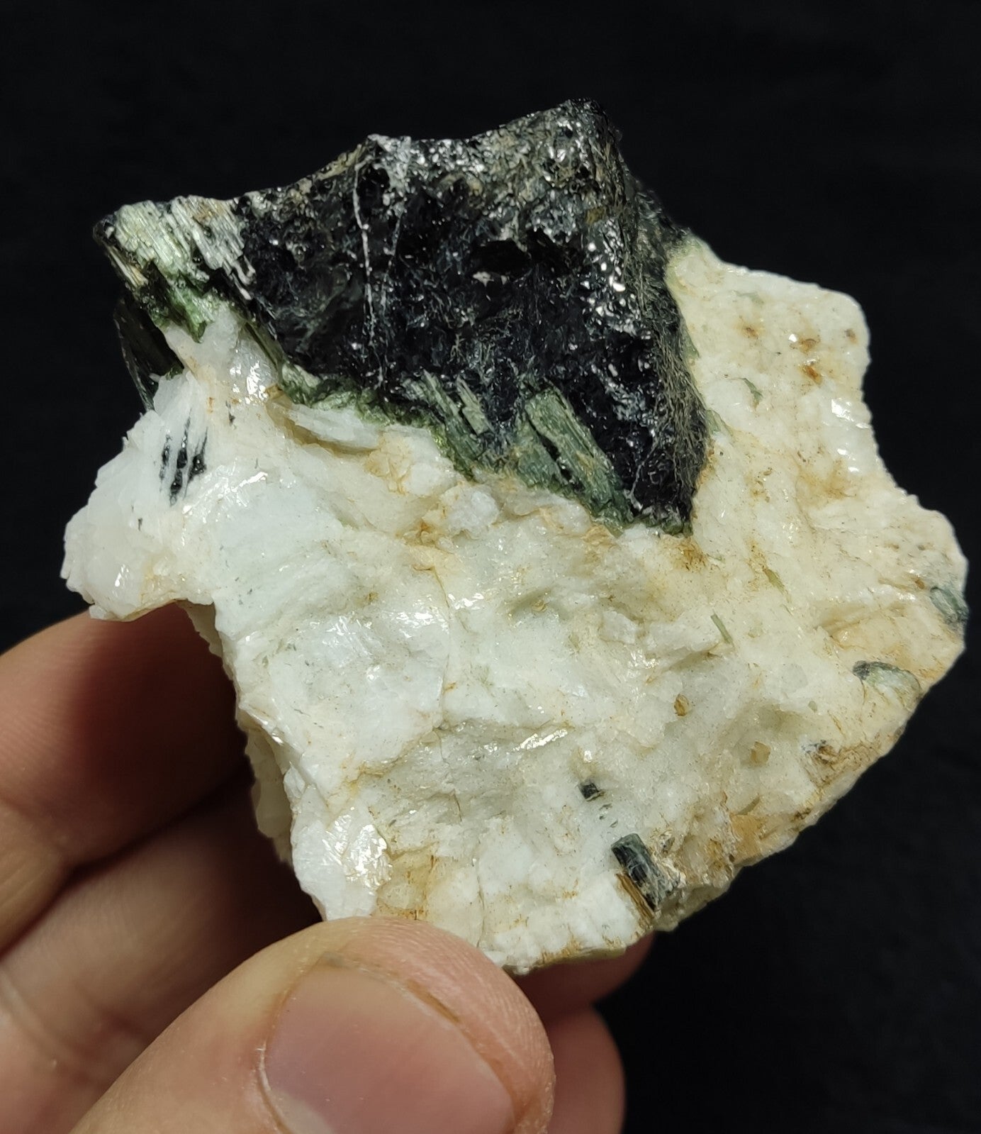 An Aesthetic specimen of black/green Tourmaline on matrix with Albite 169 grams