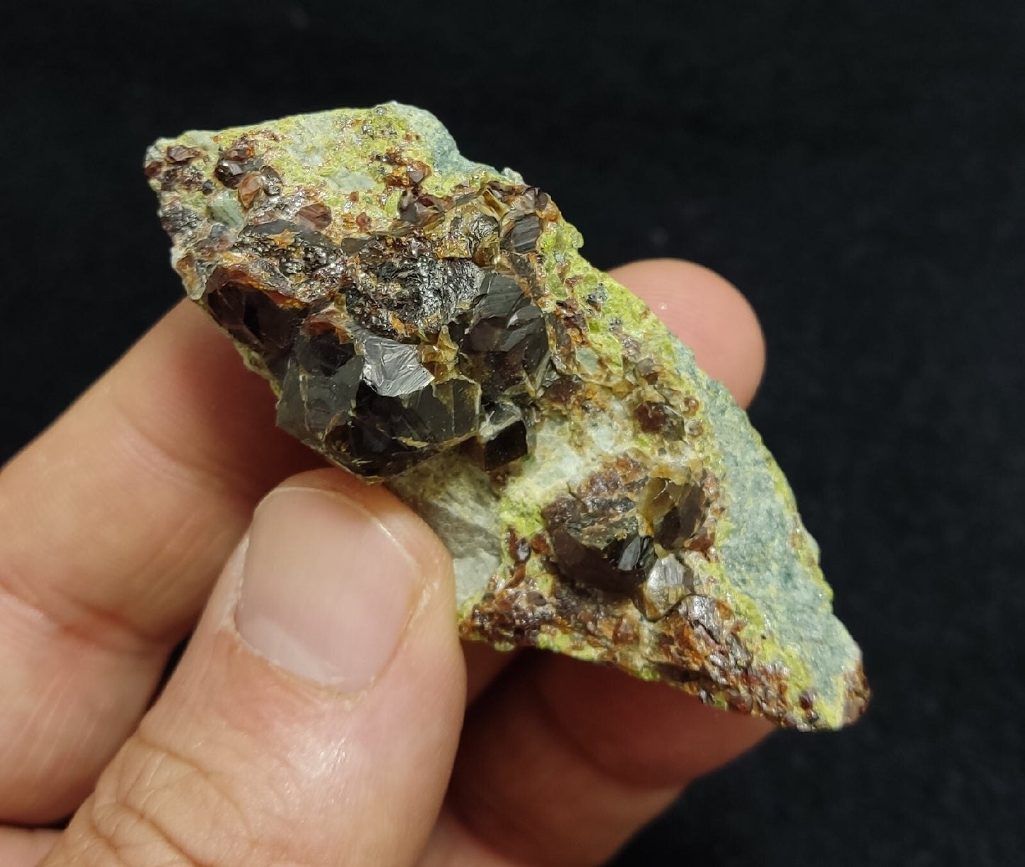 Andradite garnets on matrix with epidote 43 grams