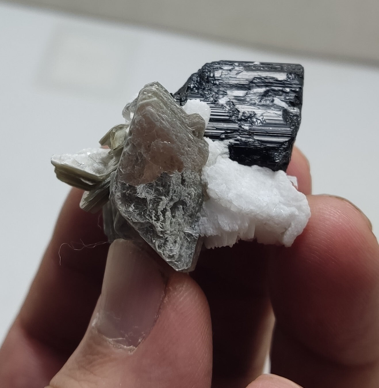 An Aesthetic specimen of muscovite with Tourmaline and albite 26 grams