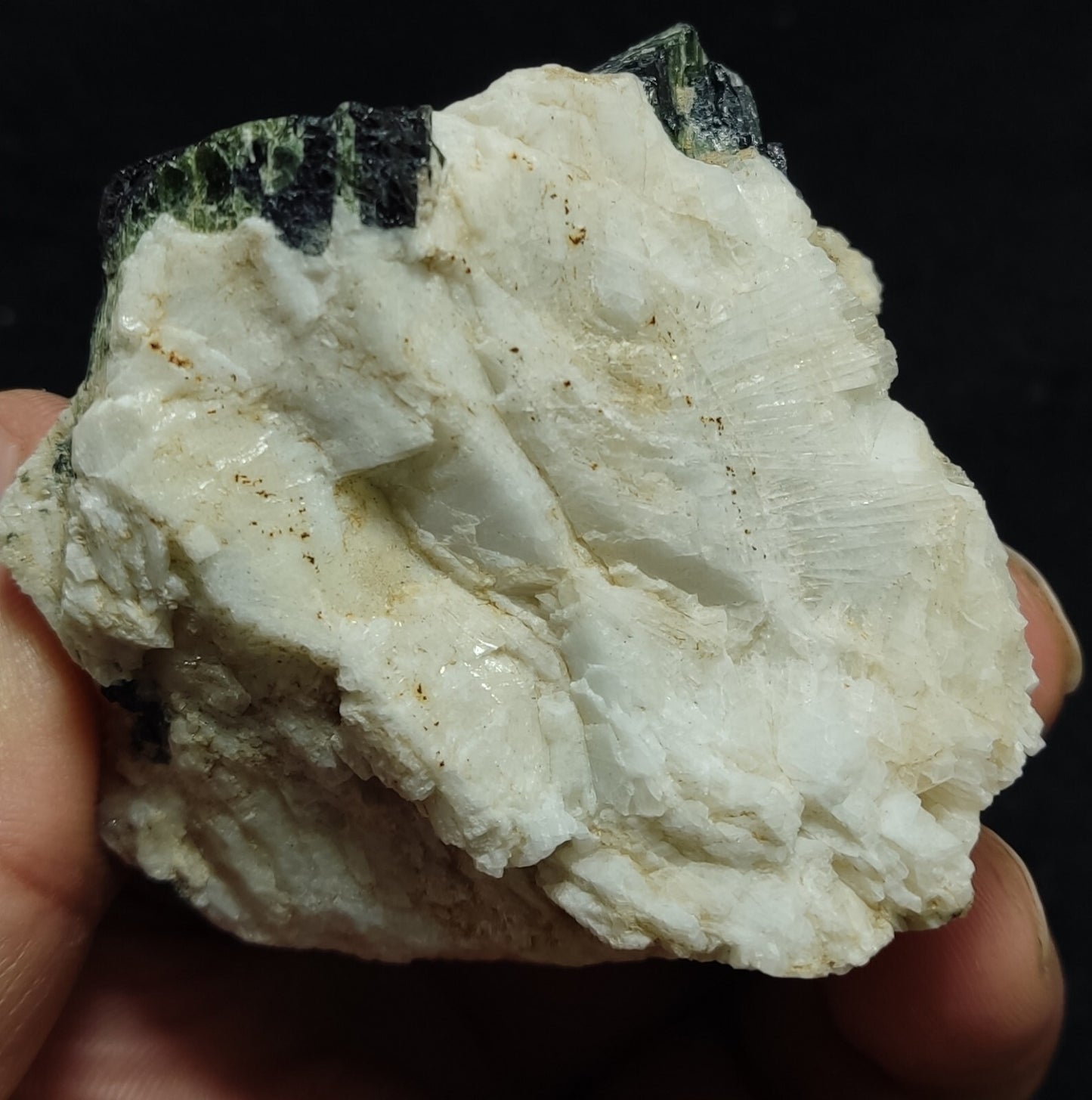 An Aesthetic specimen of black/green Tourmaline on matrix with Albite 169 grams
