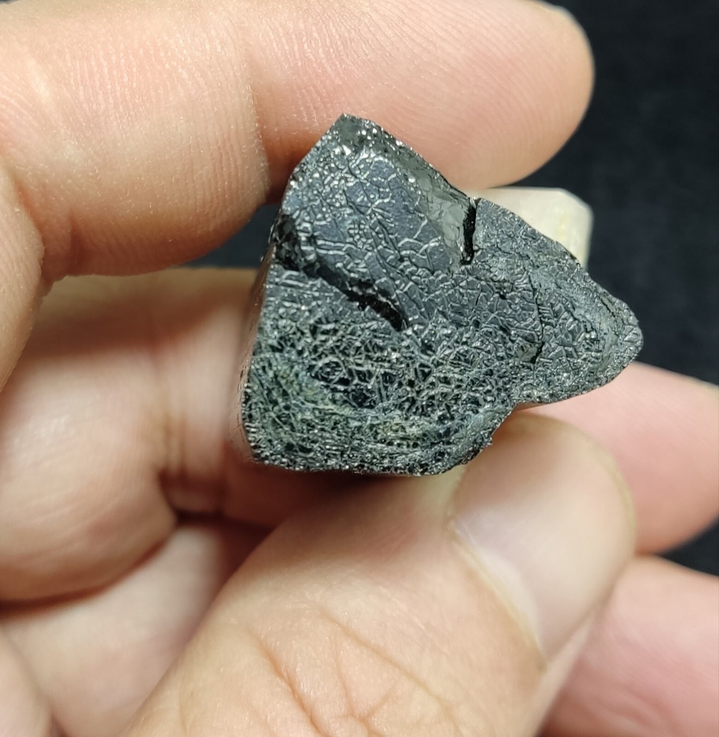 An Aesthetic specimen of black Tourmaline crystal with apatite 34 grams