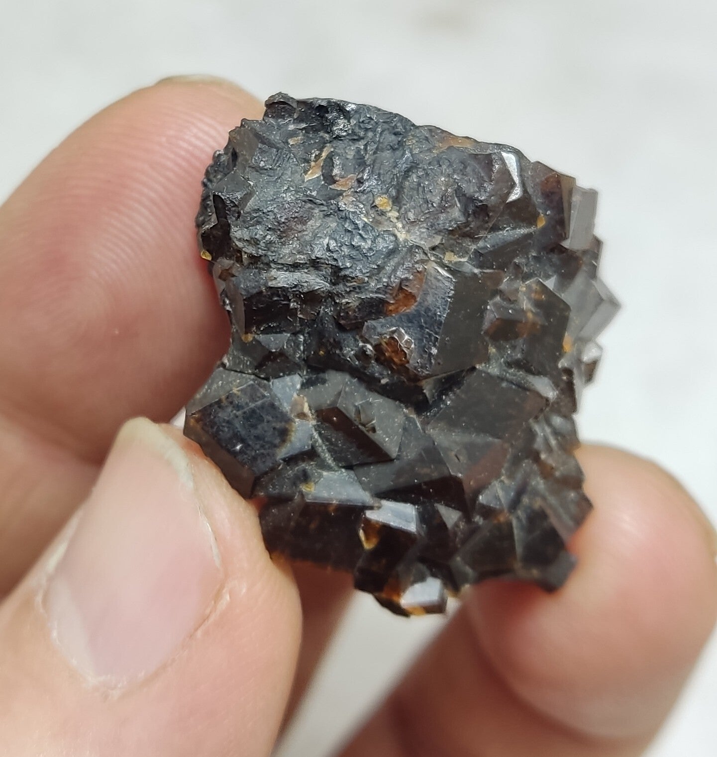 An Aesthetic specimen of andradite garnets on matrix 28 grams