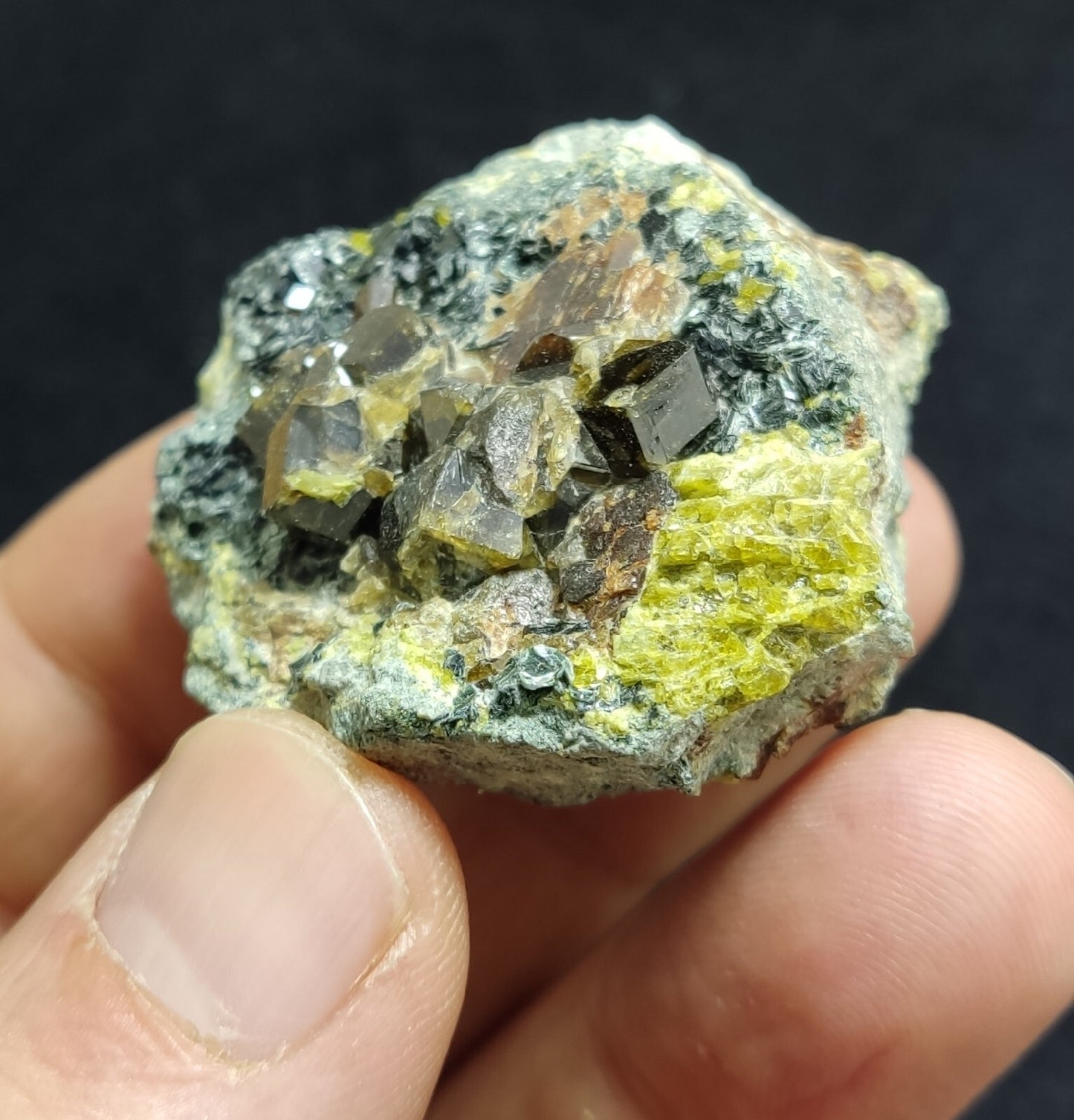 Andradite garnets on matrix with epidote and clinochlore 56 grams