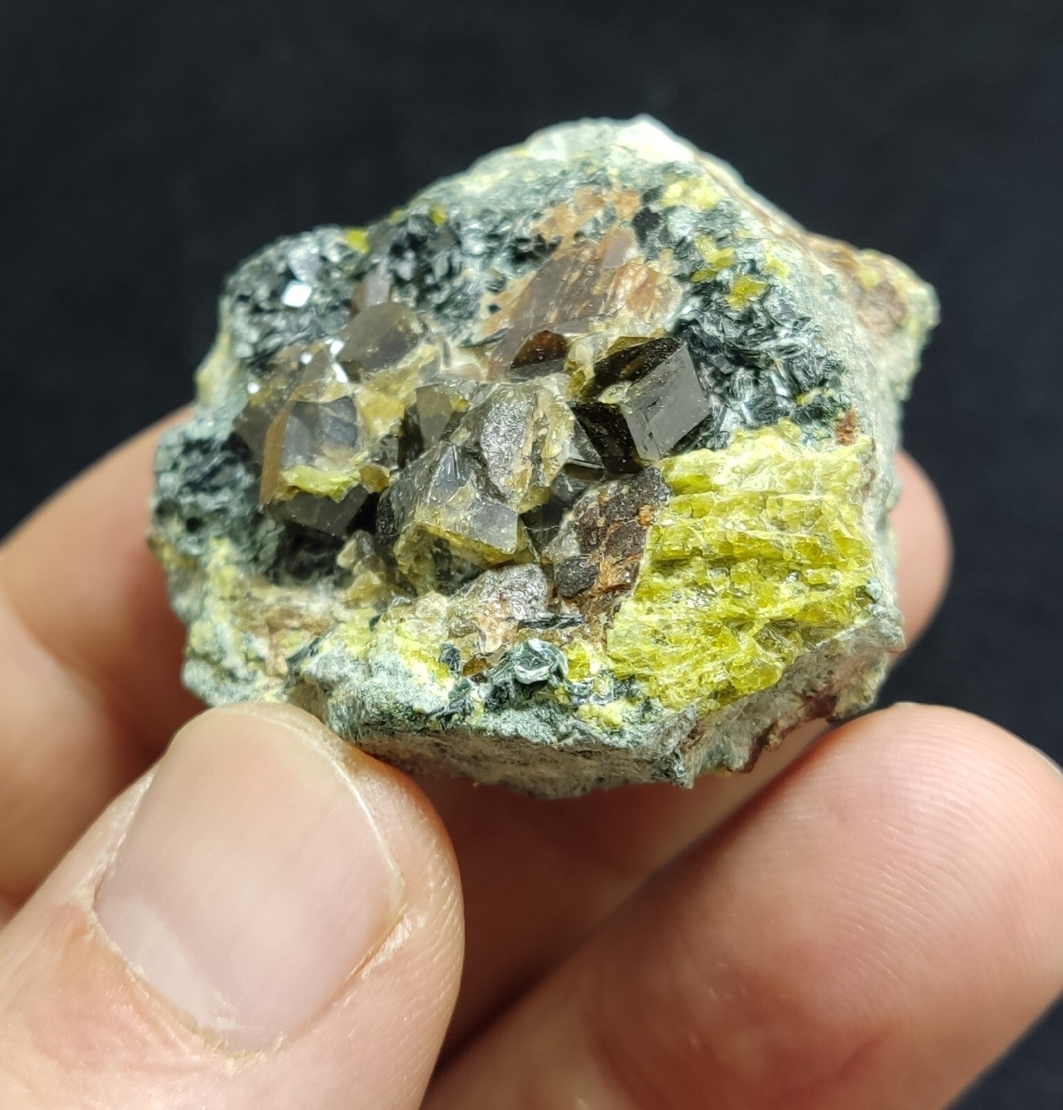 Andradite garnets on matrix with epidote and clinochlore 56 grams