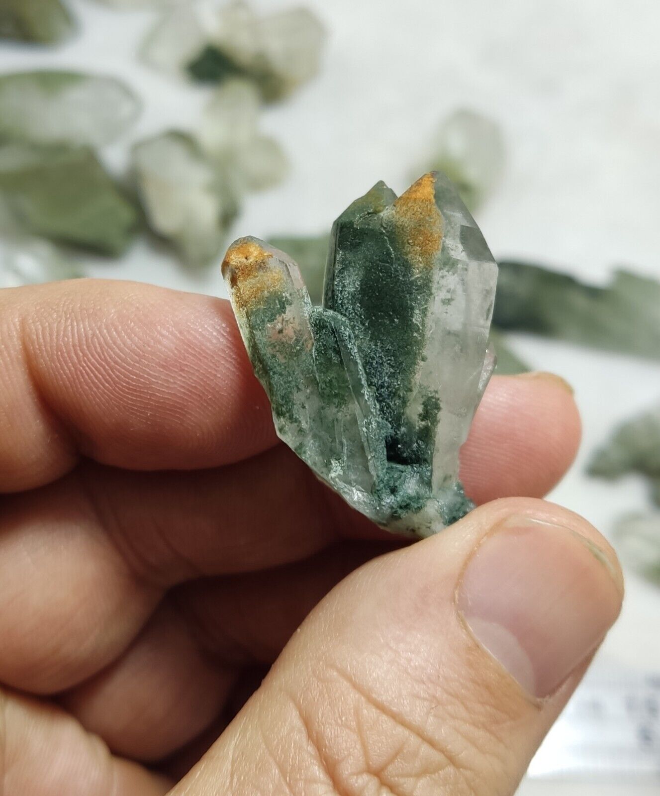 345 grams Chlorite Quartz crystals