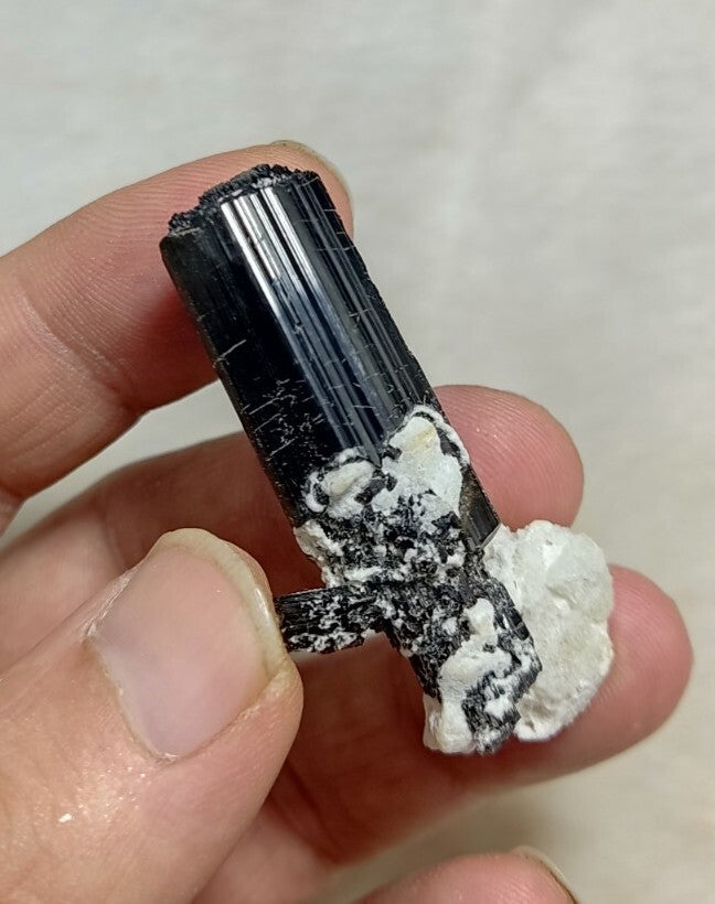 Natural Terminated Black Tourmaline Crystal 22 grams
