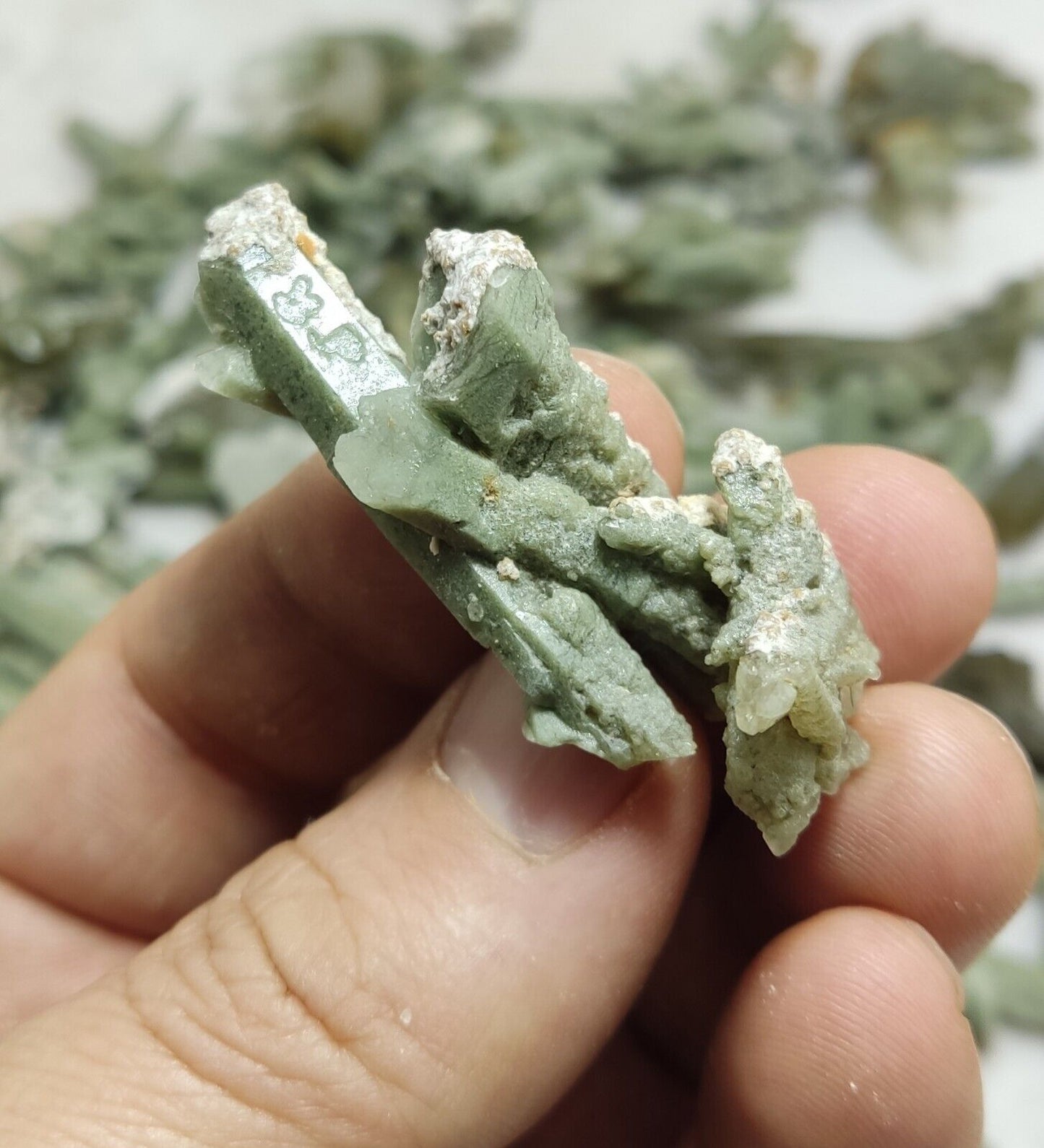 470 grams Chlorite Quartz crystals