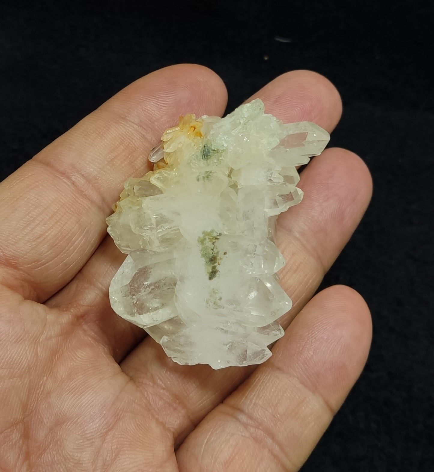 An Aesthetic terminated Quartz crystal with chlorite inclusions 43 grams