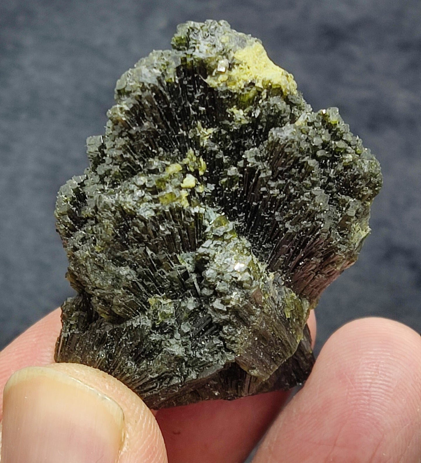 Single natural Epidote Crystal spray formations 39 grams