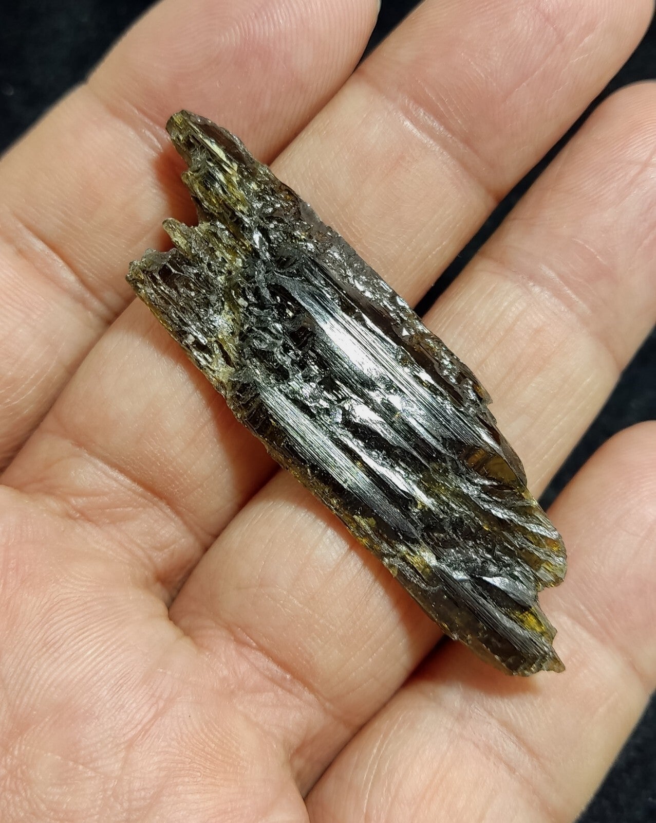 Single etched Epidote Crystal 11 grams