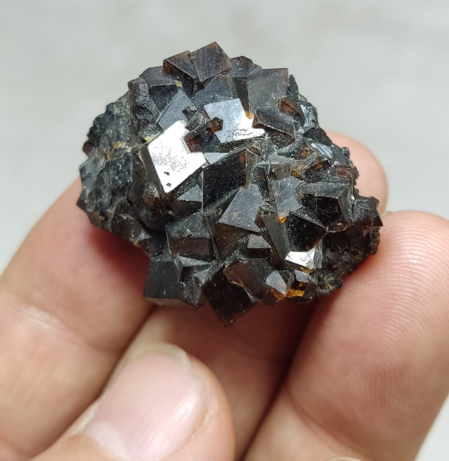 An Aesthetic specimen of andradite garnets on matrix 28 grams