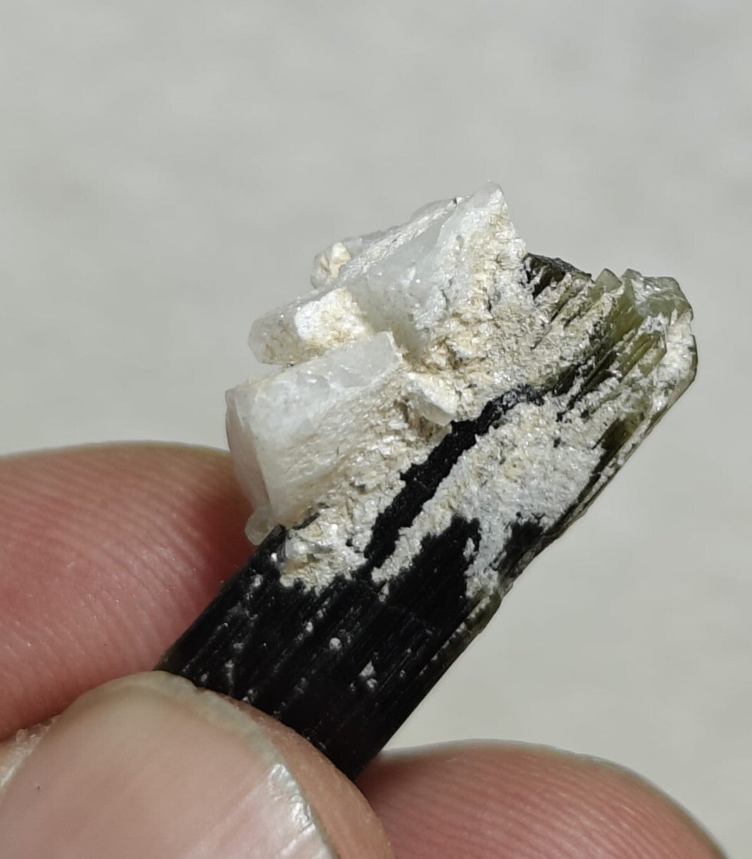 33 Carats Natural Green Cap Tourmaline Crystal With Albite.