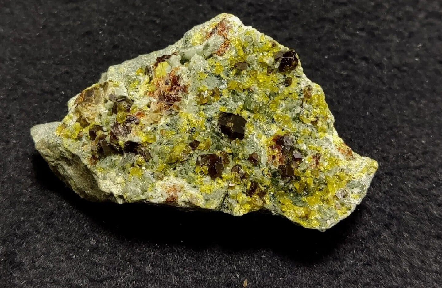 Andradite Garnets Crystals on matrix with Epidotes and Diopside 80 grams