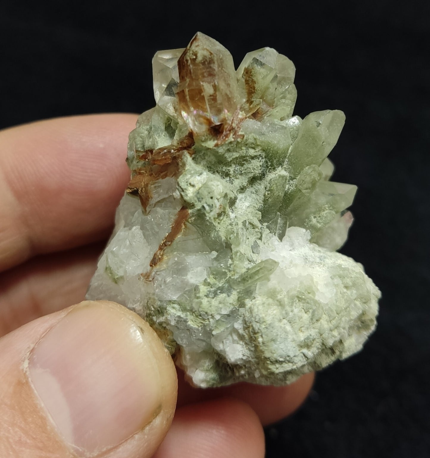 An Aesthetic terminated chlorite Quartz specimen with brookite 61 grams