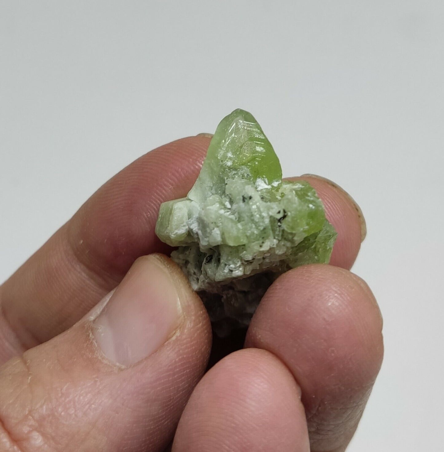 A aesthetic naturally terminated peridot crystal specimen 12 grams
