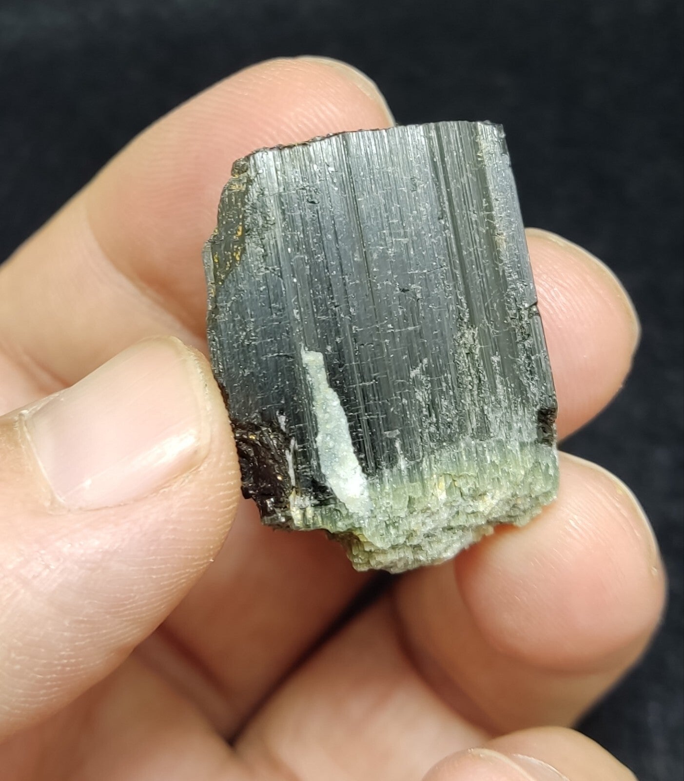 An Aesthetic specimen of black Tourmaline crystal with apatite 26 grams