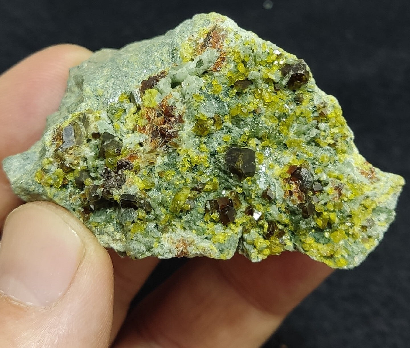 Andradite Garnets Crystals on matrix with Epidotes and Diopside 80 grams
