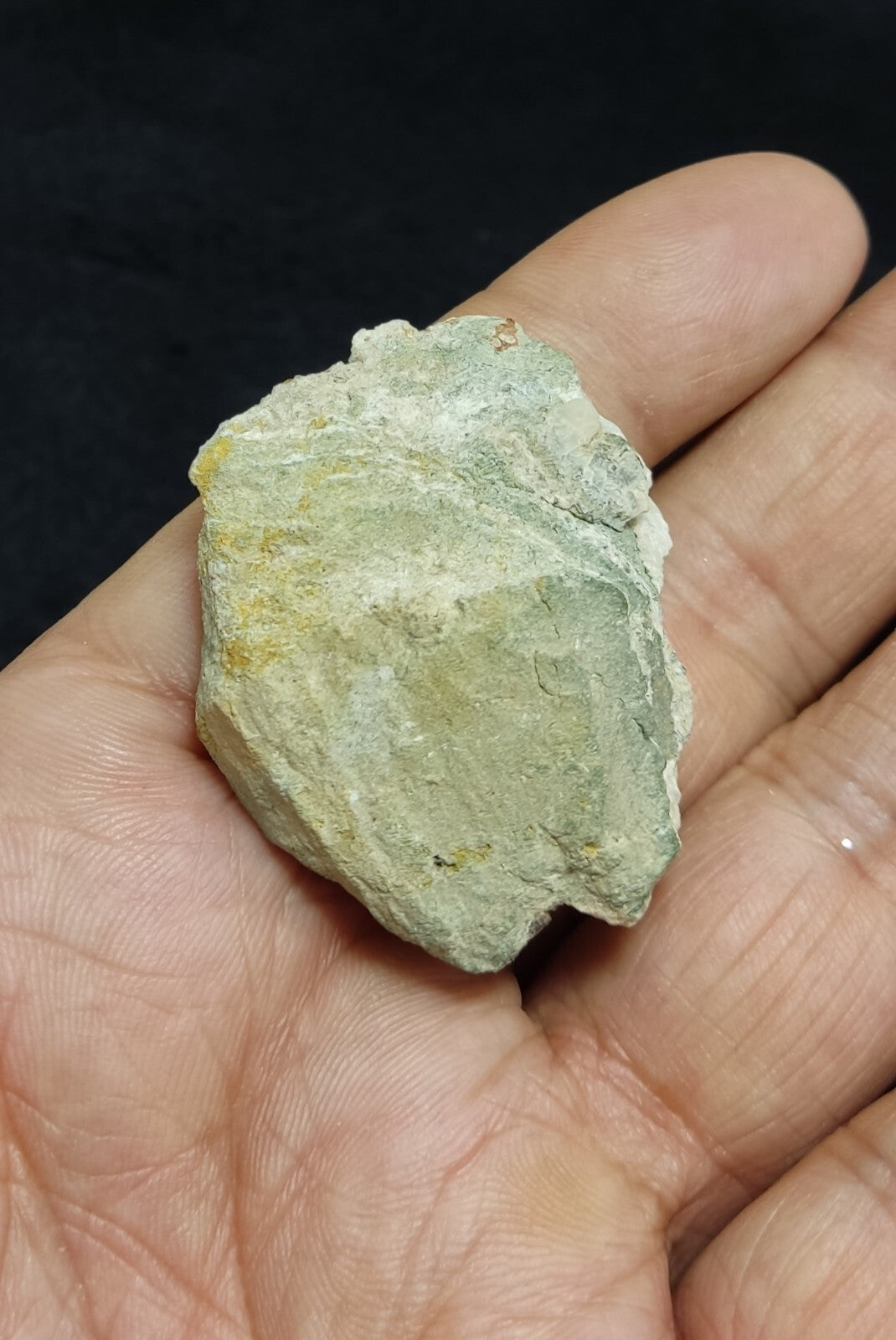 An amazing crystal specimen of dark brown Vesuvianite on matrix 27 grams