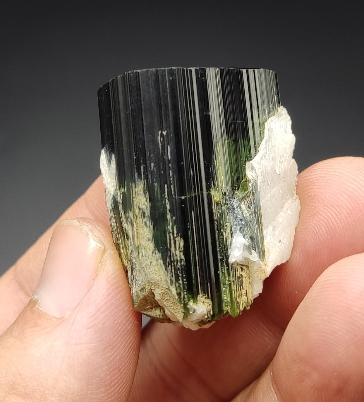 An amazing specimen of terminated tourmaline with green shaded 45 grams