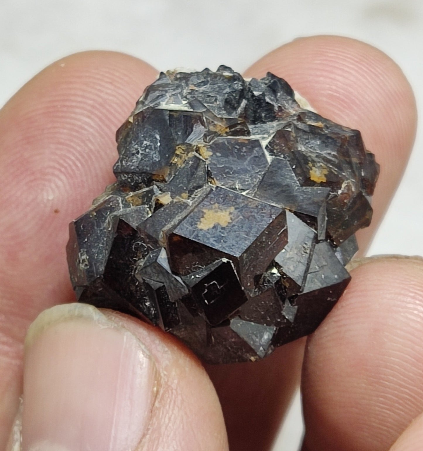 An Aesthetic specimen of andradite garnets on matrix 18 grams