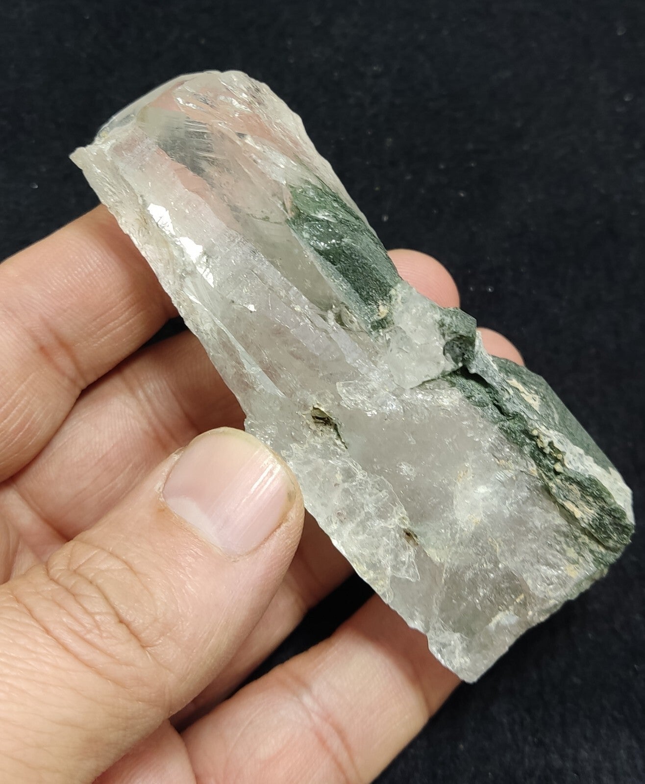 An Aesthetic specimen of chlorite included quartz crystal 134 grams