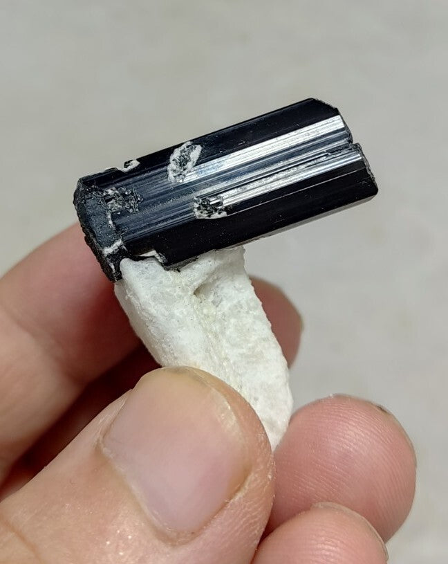 Black Tourmalines Crystal on Matrix of Albite 24 grams