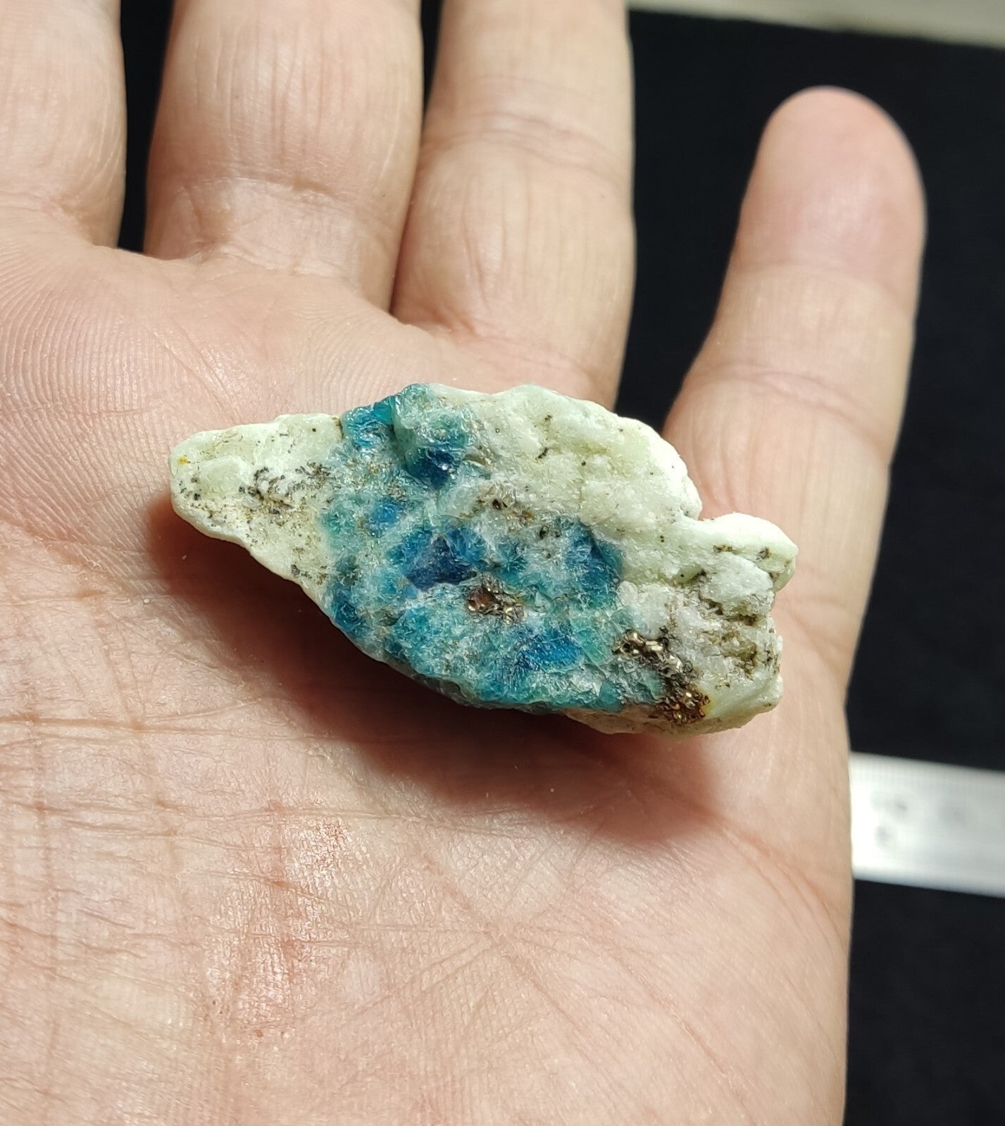 An Aesthetic specimen of lazurite on matrix with pyrite 19 grams