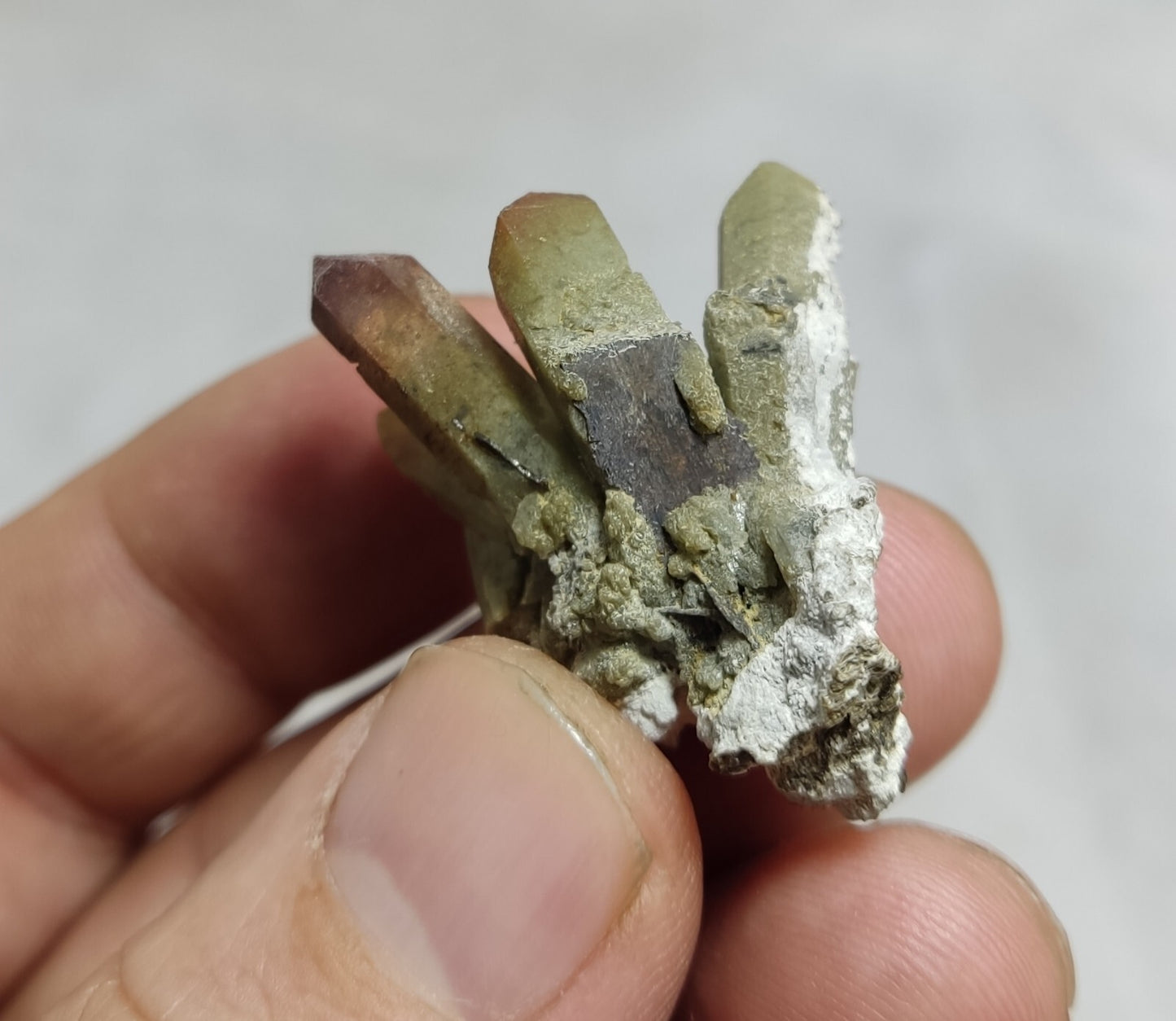 An Aesthetic terminated chlorite Quartz specimen with brookite 11 grams