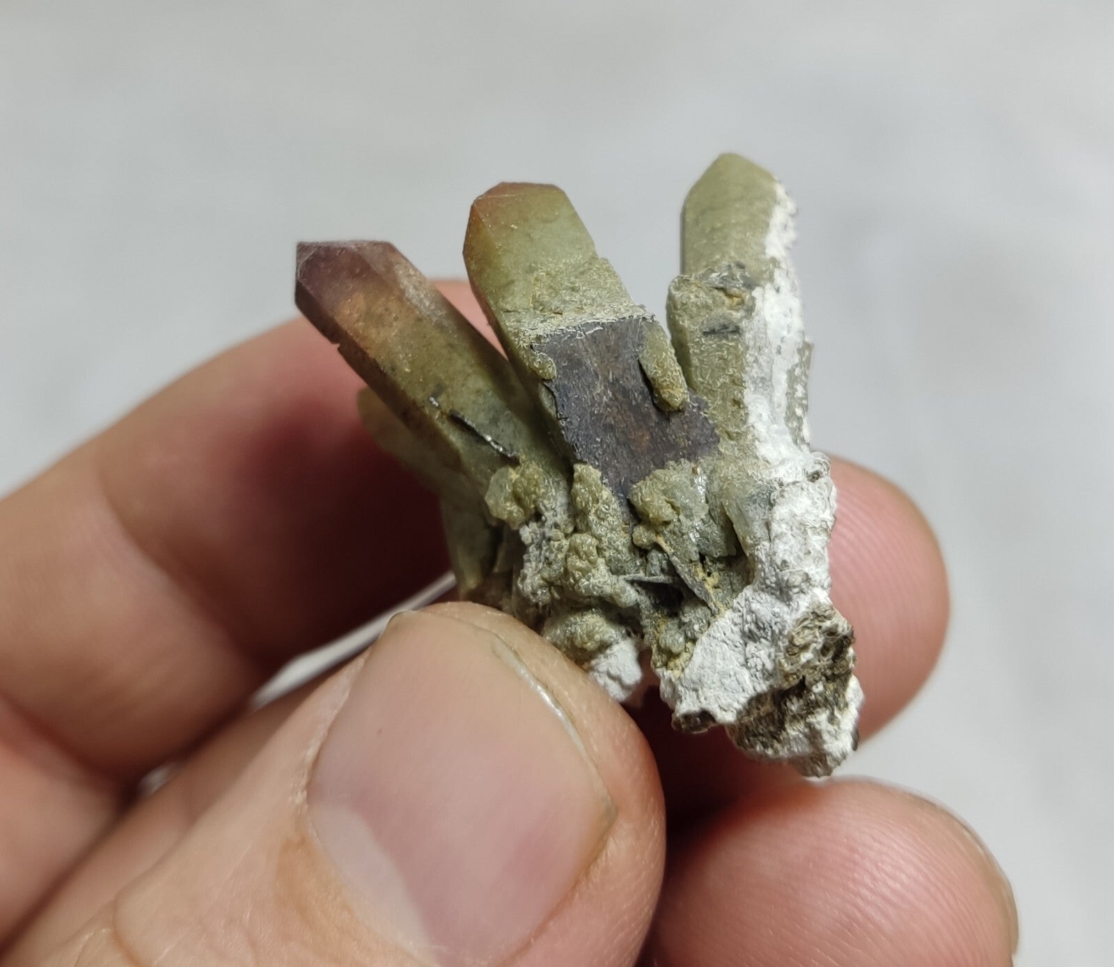 An Aesthetic terminated chlorite Quartz specimen with brookite 11 grams