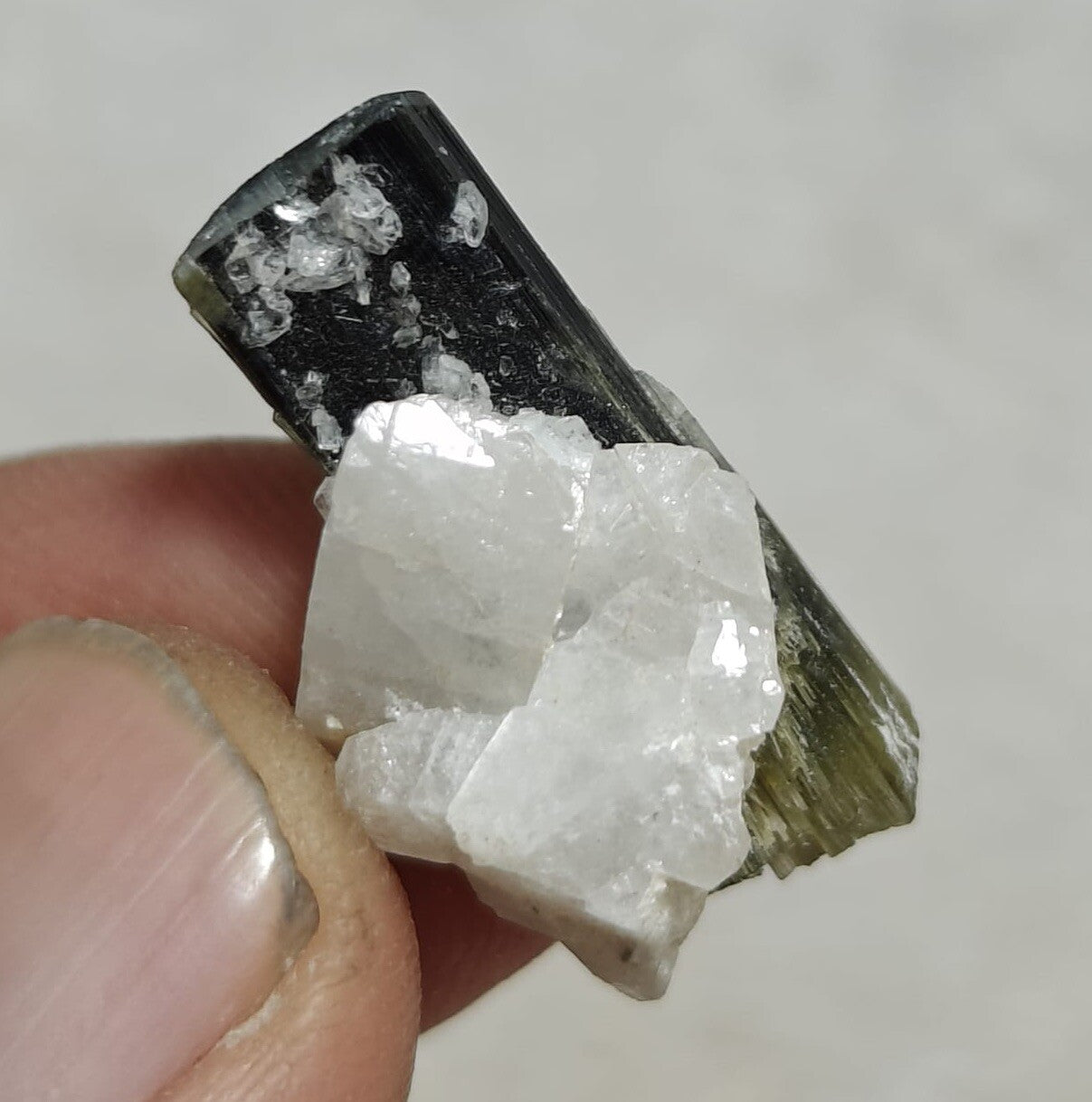 33 Carats Natural Green Cap Tourmaline Crystal With Albite.