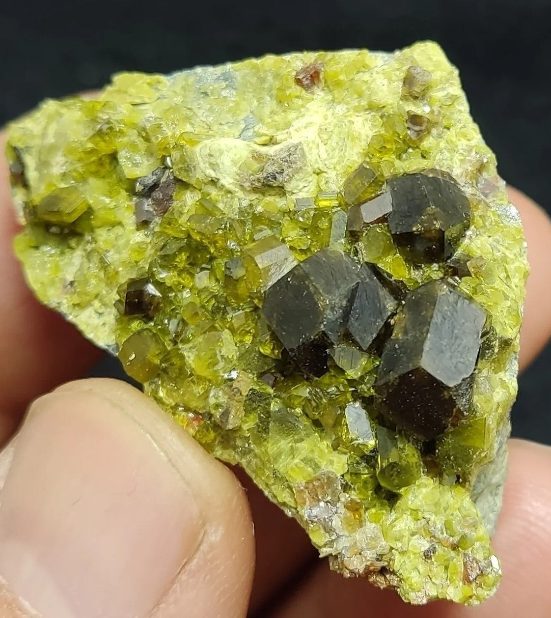 Andradite Garnets Crystals on matrix with Epidotes 40 grams