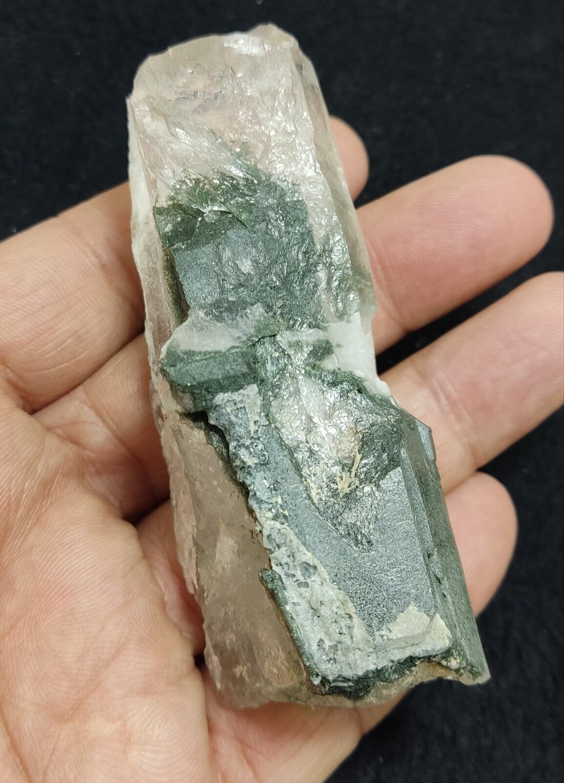 An Aesthetic specimen of chlorite included quartz crystal 134 grams