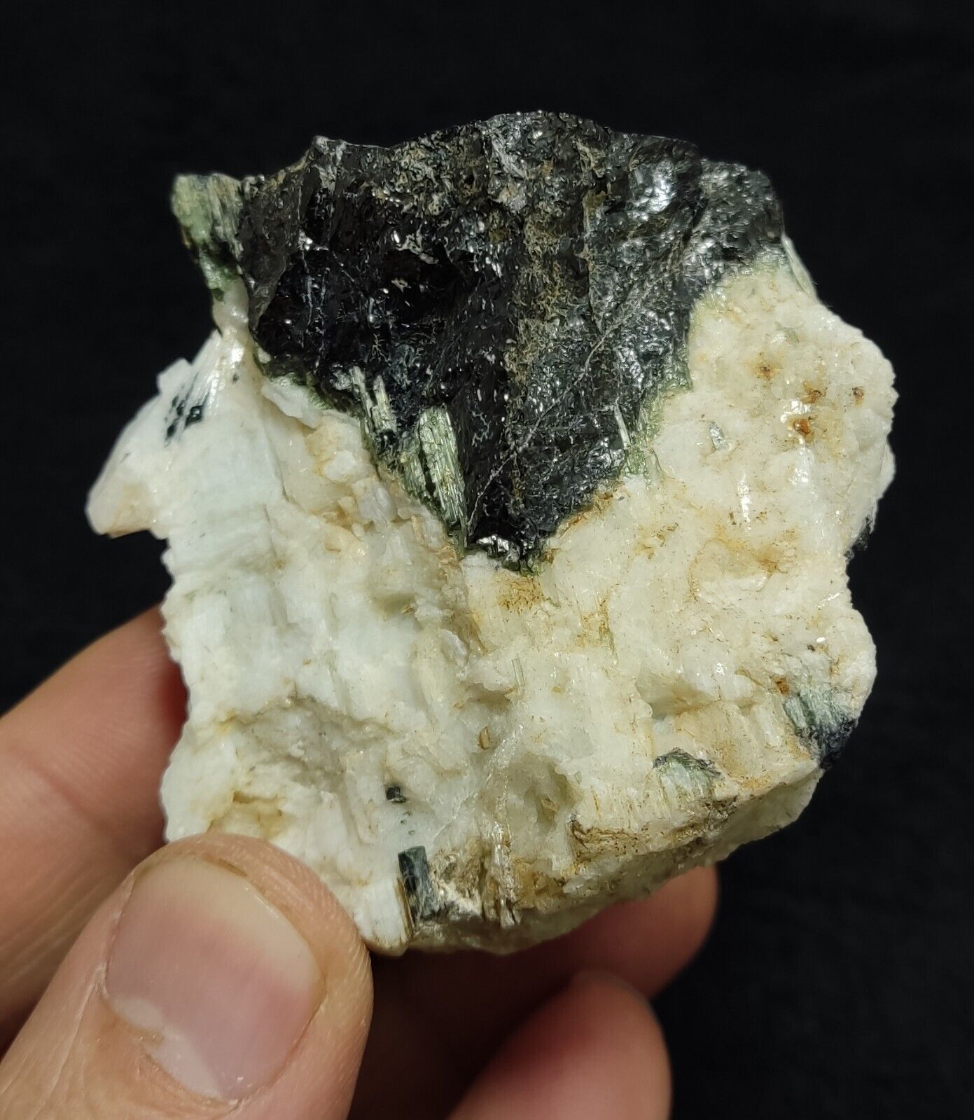An Aesthetic specimen of black/green Tourmaline on matrix with Albite 169 grams