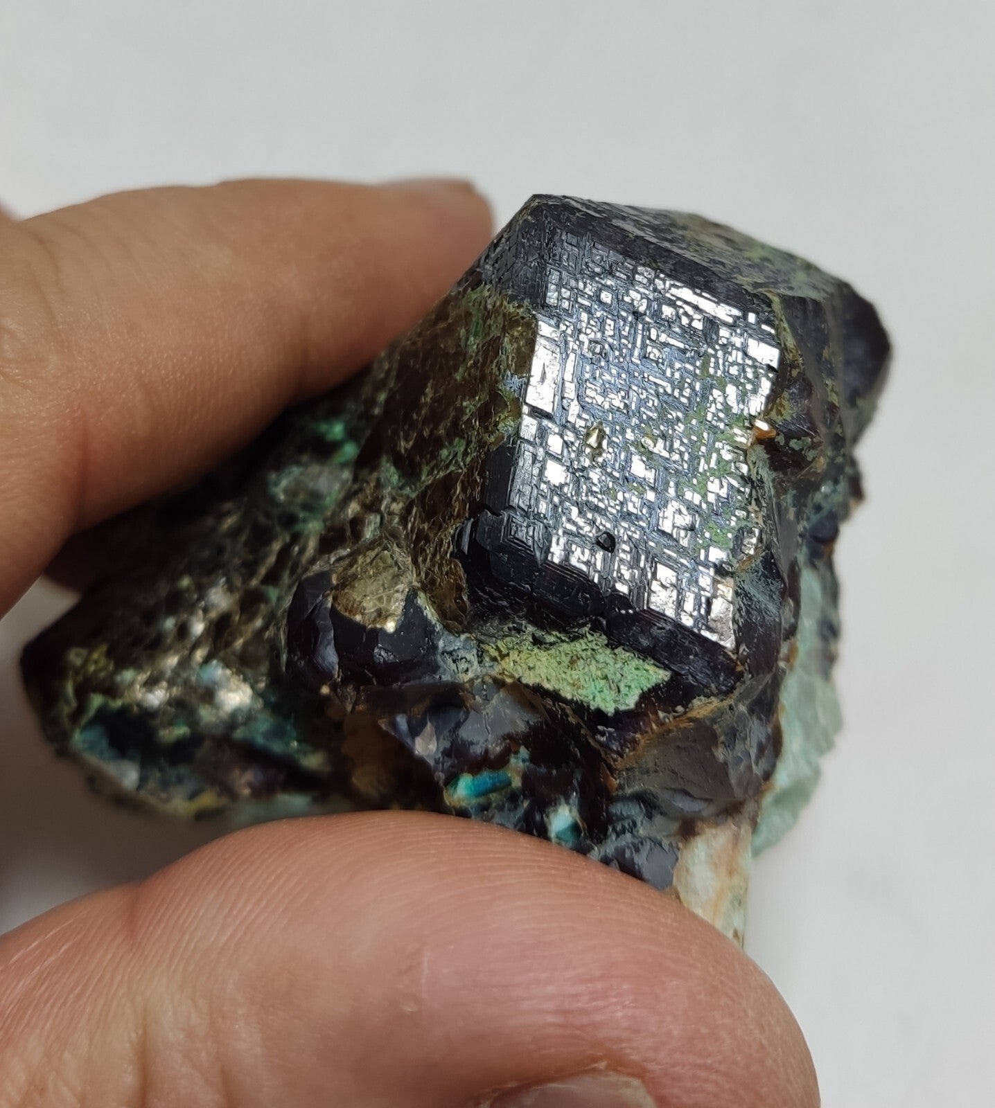 233 grams Aesthetic specimen Garnets cluster andradite garnets natural garnets