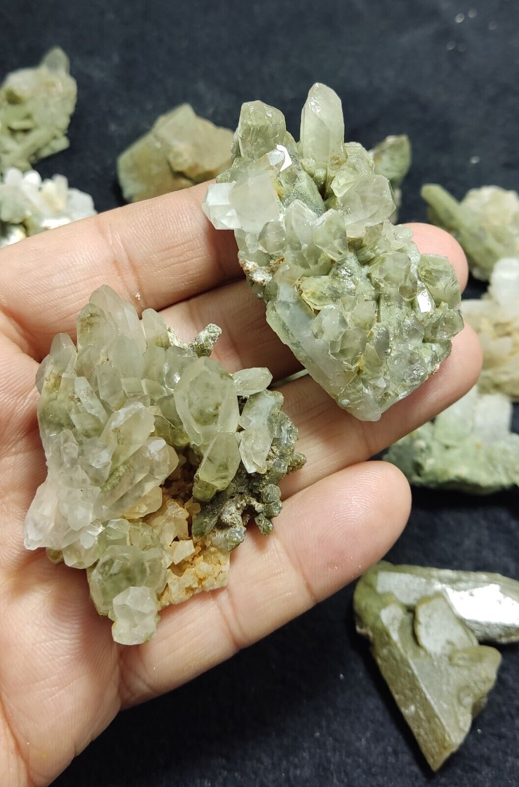 480 grams Chlorite Quartz crystals