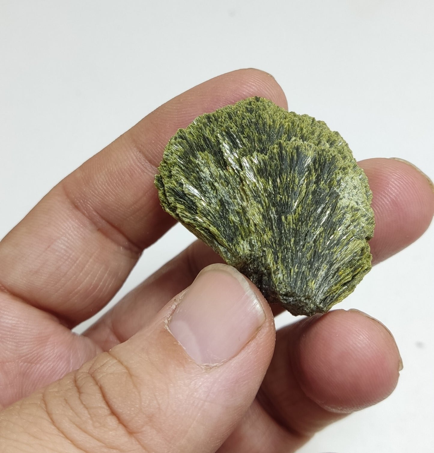 An aesthetic specimen of epidote crystal spray type 22 grams